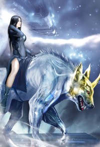 浮华背后